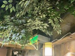 -城墙拐拐火锅(三峡广场黑金冠店)