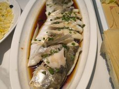 -映像威海·威海宴(威高广场店)