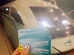 -龙阳路磁悬浮列车总站-停车场