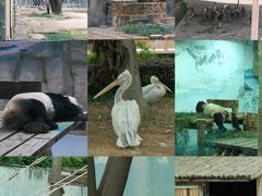 -无锡动物园·太湖欢乐园