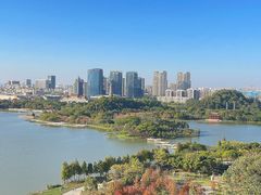 -顺峰山公园