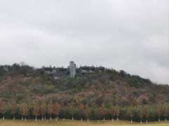 -羊山湖公园