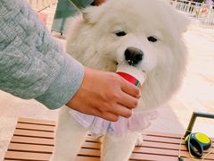 -星巴克(天津鲁能中心第三店)