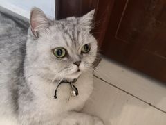 -Oasis绿洲银饰珍珠手作diy(壹方城店)