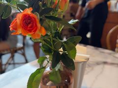 -O'eat Blossom&Pelican(深圳首店)