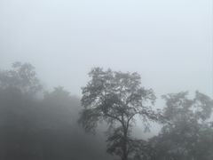 -尧山风景区