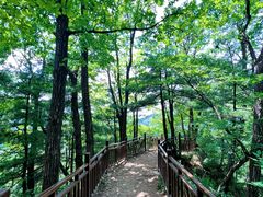 -王顺山国家森林公园