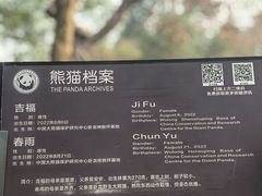 -都江堰中华大熊猫苑