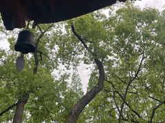 -汇龙潭