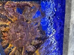 -渔歌雅宴·渔鲜烤鸭(北京西站店)