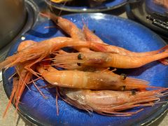 甜虾-凯悦·东方公主号 全球海鲜自助餐厅(凯丹广场店)