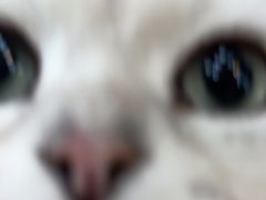 -悠米私人影院(街道口店)