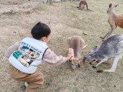 -泉州海丝野生动物世界