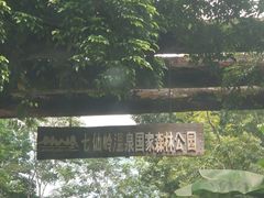 -七仙岭温泉国家森林公园