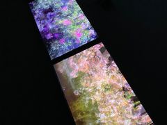-上海当代艺术博物馆