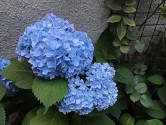 门面-About Bistro關於·泰式家庭料理