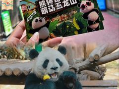 -五龙山野生动物王国