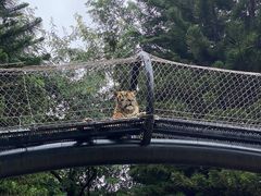 -深圳野生动物园