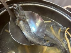 -巫记鸡饭店