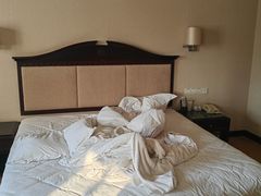 -重庆长寿碧桂园凤悦凤凰酒店