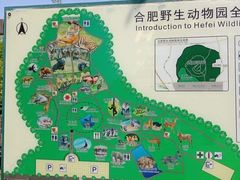 -合肥野生动物园