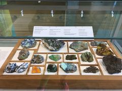 -墨尔本博物馆(Melbourne Museum)