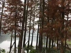 -重庆彩云湖湿地公园