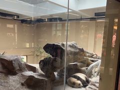 -宁波野生动物园