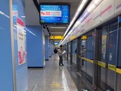 -大龙山(地铁站)