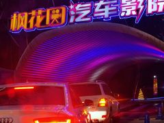 -枫花园汽车电影院(朝阳公园店)