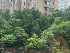 -皇朝尊会(龙之梦大酒店)