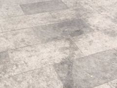 -龙凤酒家(广州大道店)