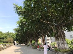 -黄埔古港