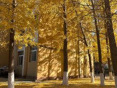 -辽宁大学(崇山校区)