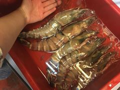 -ZF Seafood Restaurant 卓峰海鲜餐