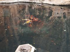 -昆明动物园