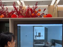 -点石家装(总部旗舰店)