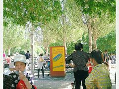 -长白岛森林公园