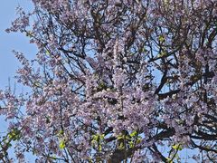 -北京西国贸大酒店