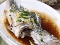 清蒸石斑鱼-源海渔村·现捞海鲜(大角湾店)