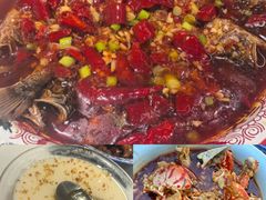 -欧记大排档·景德菜(上海首店)