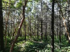 -白草畔自然风景区