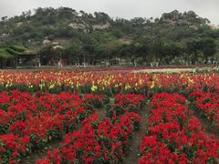 -丹樱生态园