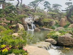 -罗红摄影艺术馆