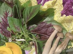 -手选潮汕鲜牛肉火锅(二七广场店)