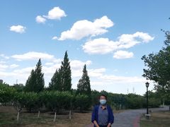 -永定河休闲森林公园