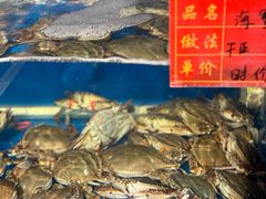 -华盛丰温州大排档(东三环南路店)