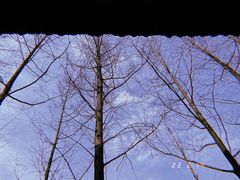 -重庆彩云湖湿地公园