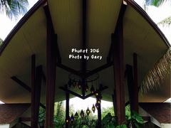 -椰树岛海滩度假村