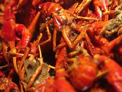-沪小胖小龙虾(淮海中路旗舰店)